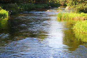 Choctawhatchee River icon